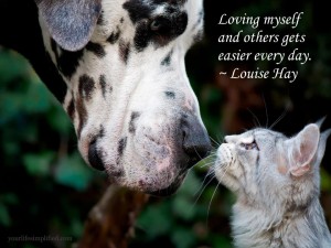 love yourself and others