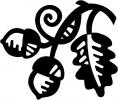 acorn logo