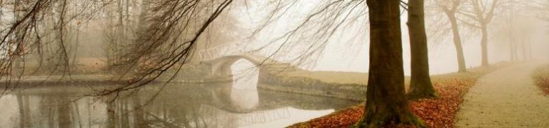 Misty